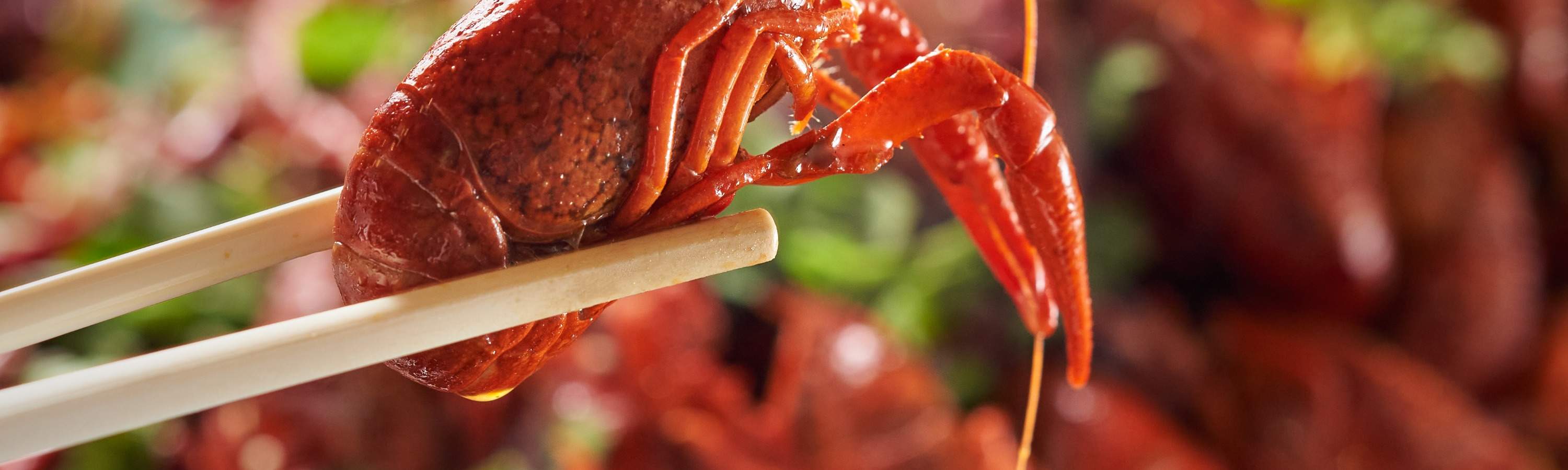 Buffet Offer JW Marriott Hotel Shenzhen Buffet Coupon Caf buffet-offer-jw-marriott-hotel-shenzhen-buffet-coupon-caf